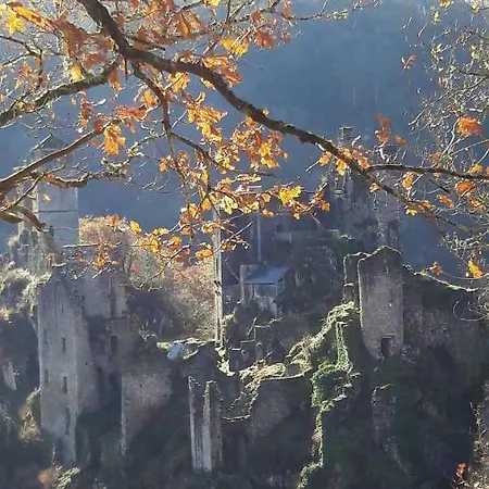 Bed & Breakfast Des Ruines De Merle *